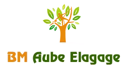 elagage-bm-elagueur