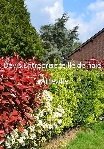 Devis Entreprise taille de haie a Ailleville