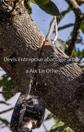 Devis Entreprise abattage arbre a Aix En Othe