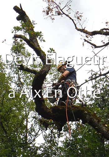 Devis Elagueur a Aix En Othe