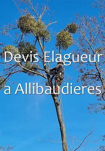 Devis Elagueur a Allibaudieres