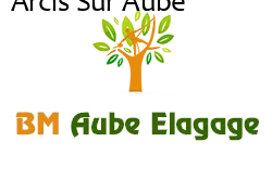 elagage-bm-elagueur