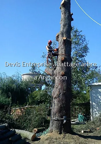 Devis Entreprise abattage arbre a Argancon