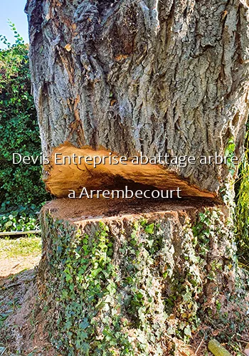 Devis Entreprise abattage arbre a Arrembecourt