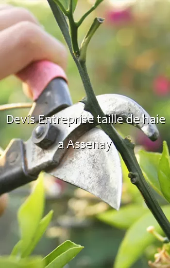 Devis Entreprise taille de haie a Assenay