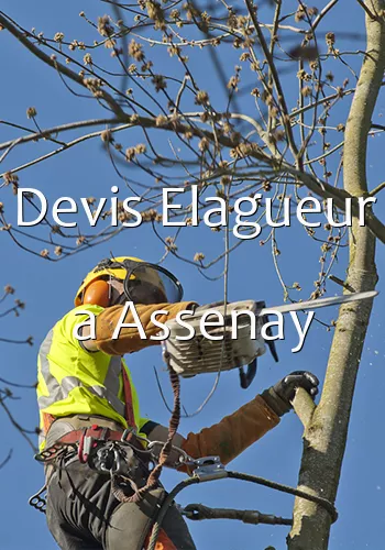 Devis Elagueur a Assenay