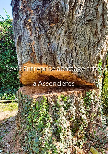 Devis Entreprise abattage arbre a Assencieres