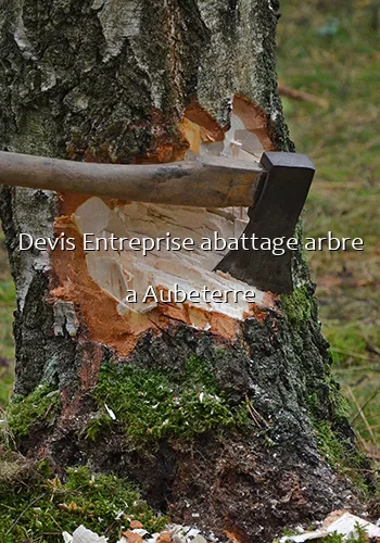 Devis Entreprise abattage arbre a Aubeterre