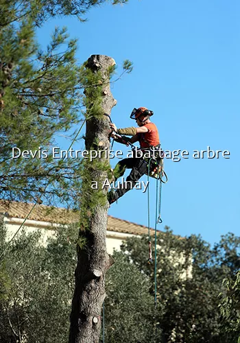 Devis Entreprise abattage arbre a Aulnay