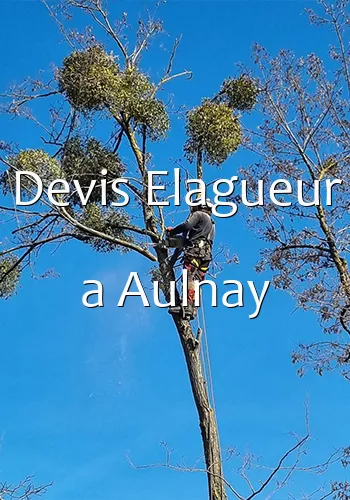 Devis Elagueur a Aulnay