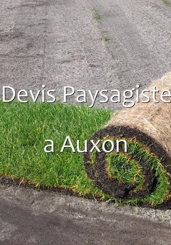 Devis Paysagiste a Auxon