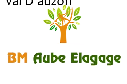 elagage-bm-elagueur