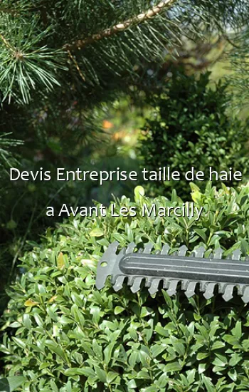 Devis Entreprise taille de haie a Avant Les Marcilly