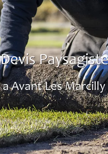 Devis Paysagiste a Avant Les Marcilly