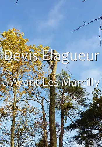 Devis Elagueur a Avant Les Marcilly