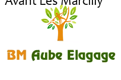 elagage-bm-elagueur