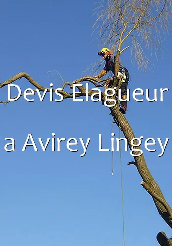 Devis Elagueur a Avirey Lingey