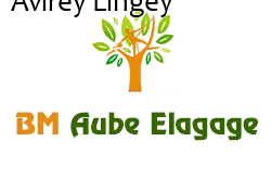 elagage-bm-elagueur