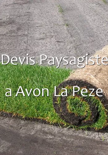 Devis Paysagiste a Avon La Peze