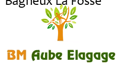 elagage-bm-elagueur