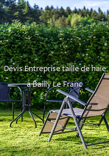 Devis Entreprise taille de haie a Bailly Le Franc