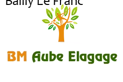 elagage-bm-elagueur