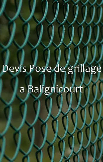 Devis Pose de grillage a Balignicourt