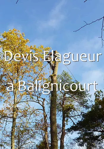 Devis Elagueur a Balignicourt