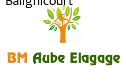 elagage-bm-elagueur