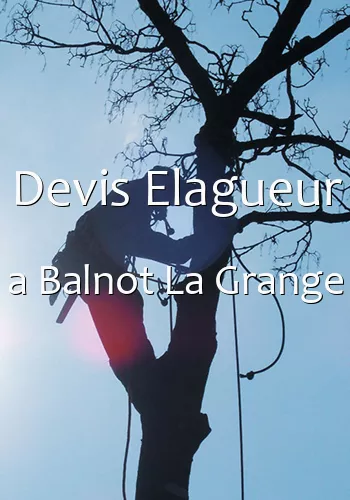 Devis Elagueur a Balnot La Grange