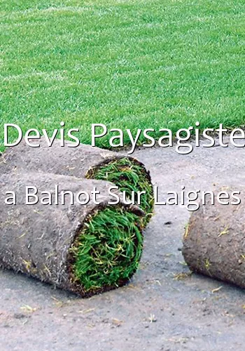 Devis Paysagiste a Balnot Sur Laignes