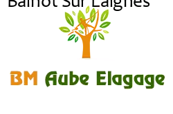 elagage-bm-elagueur