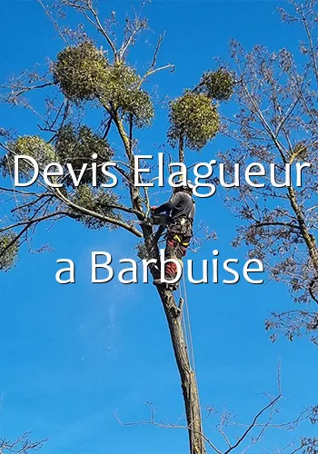 Devis Elagueur a Barbuise