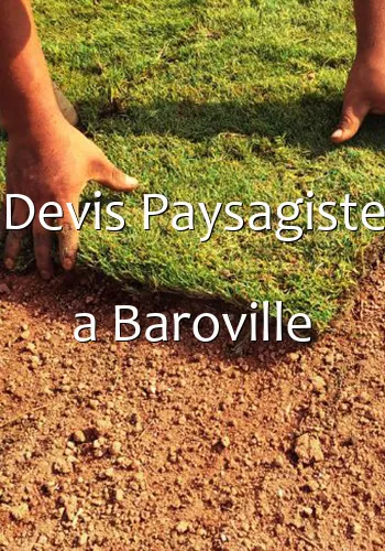 Devis Paysagiste a Baroville