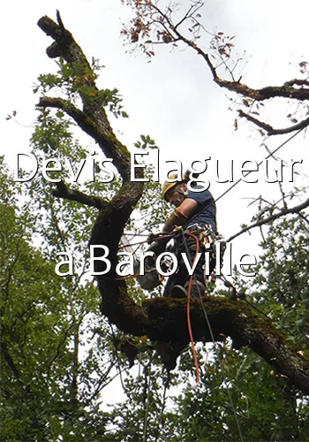 Devis Elagueur a Baroville