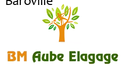 elagage-bm-elagueur