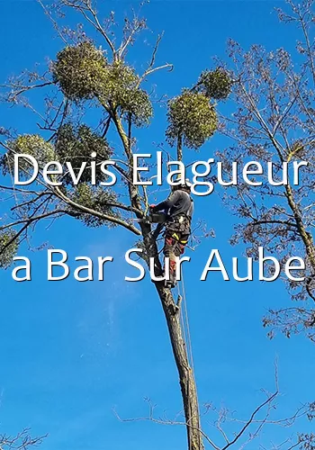 Devis Elagueur a Bar Sur Aube