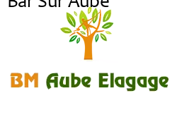 elagage-bm-elagueur