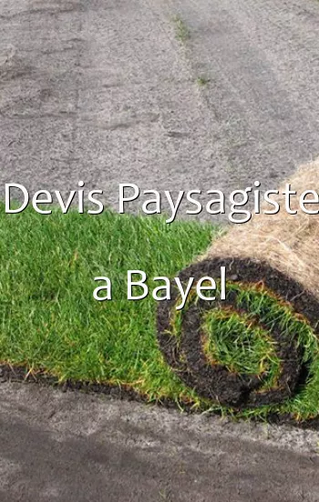 Devis Paysagiste a Bayel