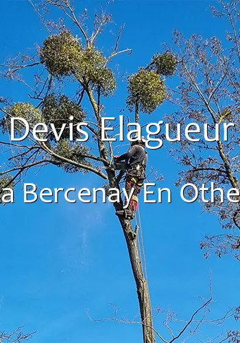 Devis Elagueur a Bercenay En Othe