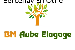 elagage-bm-elagueur