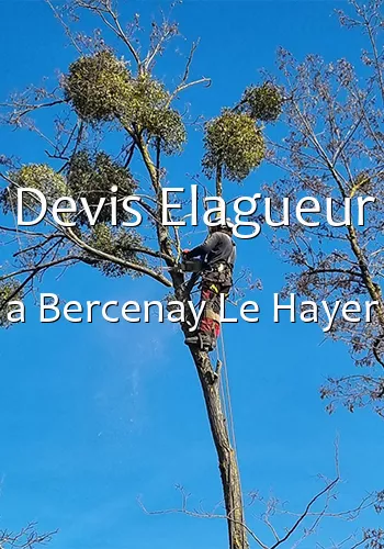 Devis Elagueur a Bercenay Le Hayer