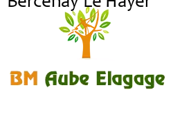 elagage-bm-elagueur