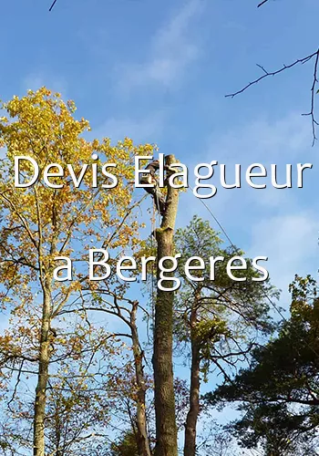 Devis Elagueur a Bergeres