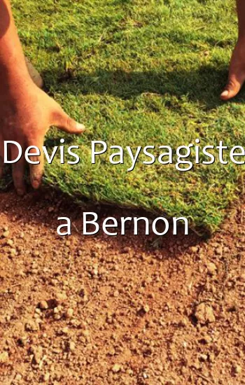 Devis Paysagiste a Bernon