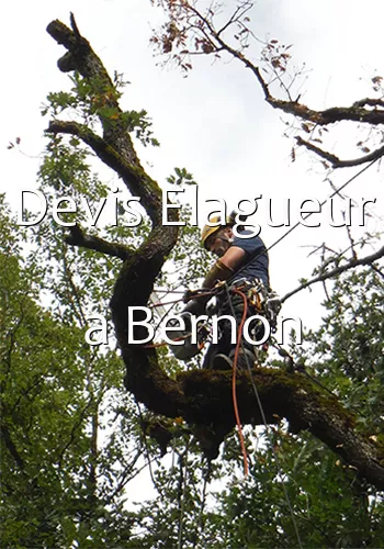 Devis Elagueur a Bernon