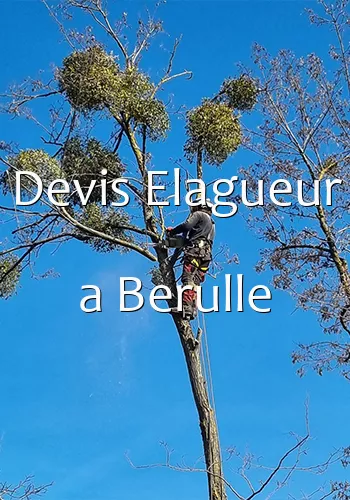 Devis Elagueur a Berulle