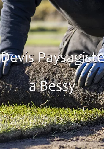 Devis Paysagiste a Bessy