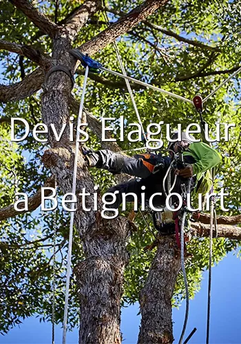 Devis Elagueur a Betignicourt