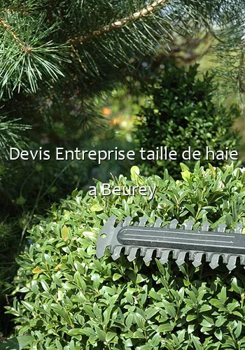 Devis Entreprise taille de haie a Beurey